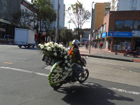 Flower Delivery, Bogotá